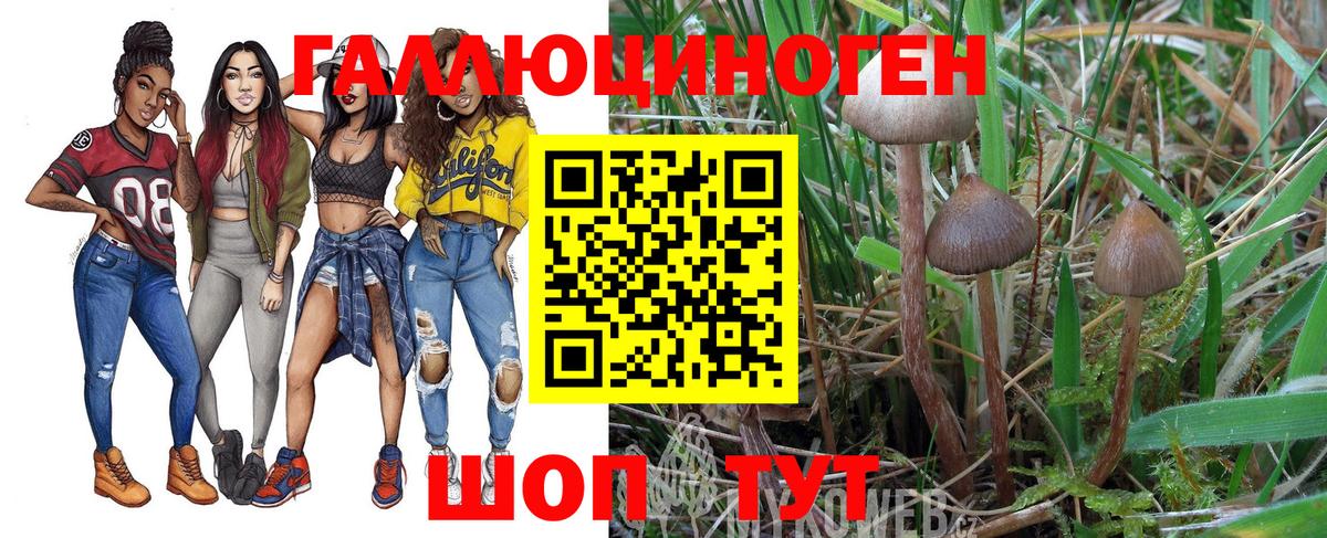 Псилоцибиновые грибы мухоморы Шарыпово