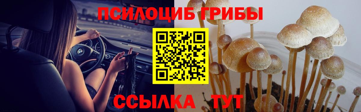 Псилоцибиновые грибы прущие грибы  Псилоцибиновые грибы прущие грибы  купить наркоту  Вход с VPN  Шарыпово 